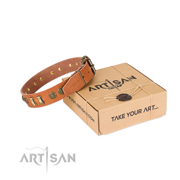 Corrosion resistant traditional buckle on natural leather dog collar for your doggie