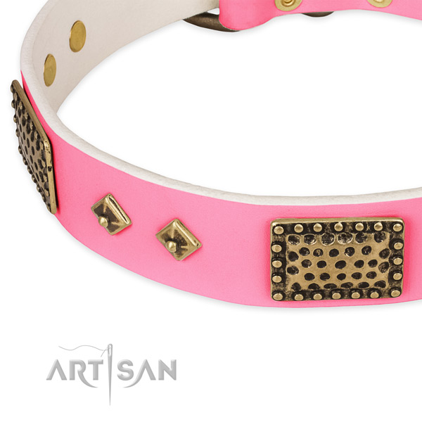 Rust resistant adornments on genuine leather dog collar for your dog