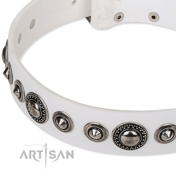 Basic training studded dog collar of durable full grain leather