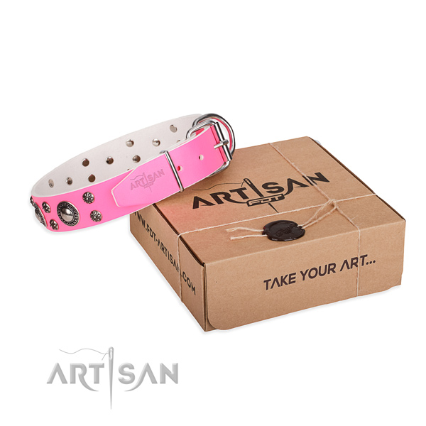 Everyday use dog collar of reliable full grain leather with embellishments