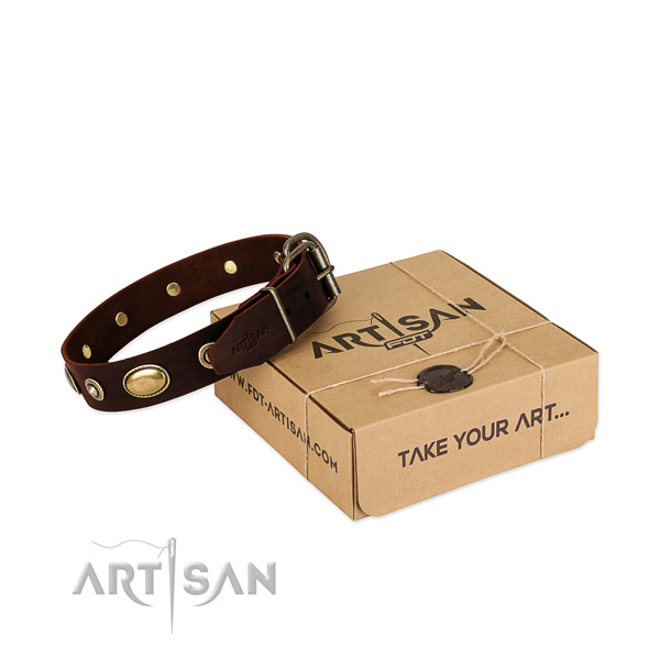 Durable traditional buckle on natural leather dog collar for your dog
