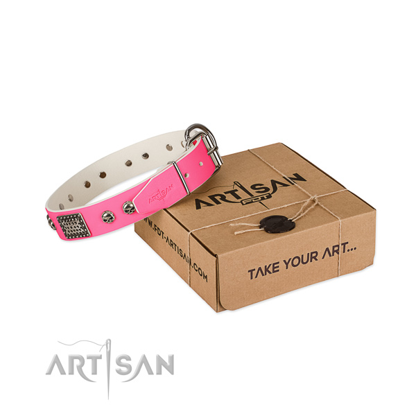 Durable adornments on dog collar for daily use