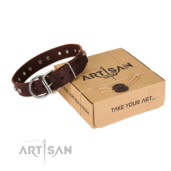 Corrosion resistant adornments on dog collar for stylish walking