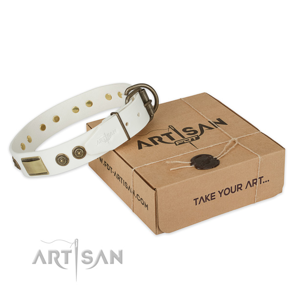 Corrosion proof buckle on full grain natural leather dog collar for stylish walking