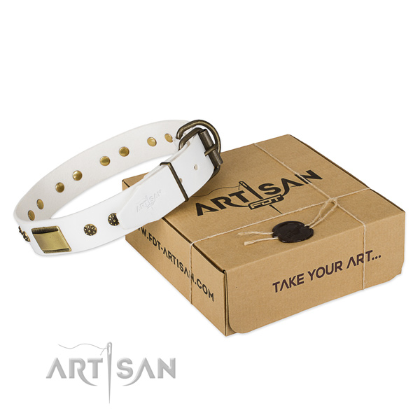 Easy to adjust natural genuine leather collar for your attractive canine
