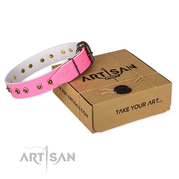 Durable traditional buckle on full grain genuine leather dog collar for daily walking