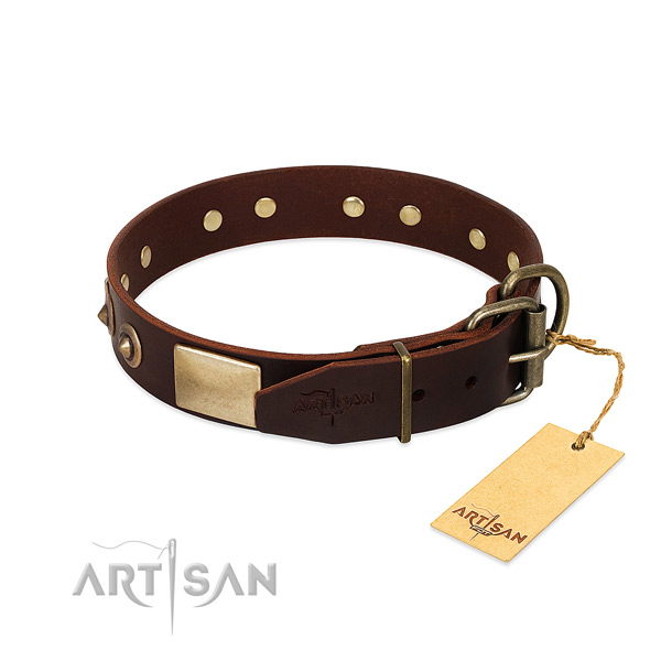 Strong D-ring on stylish walking dog collar