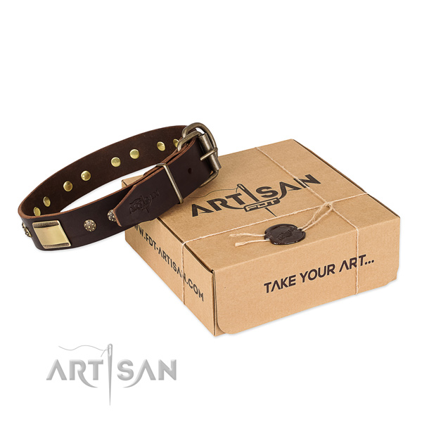 Handmade full grain leather collar for your impressive pet