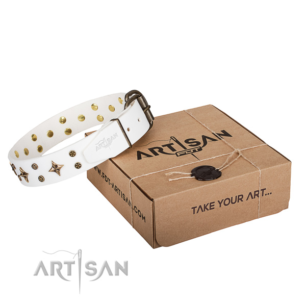 Stylish walking dog collar of durable full grain genuine leather with adornments