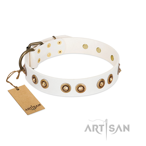 Exceptional genuine leather collar for your dog