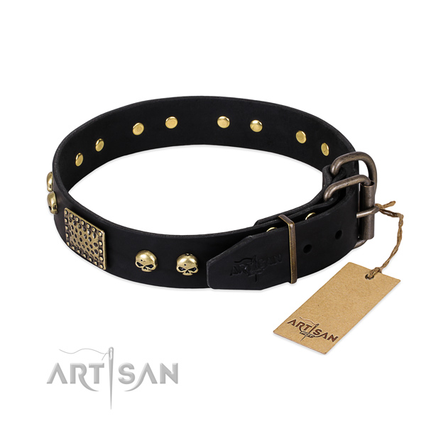 Rust-proof D-ring on basic training dog collar