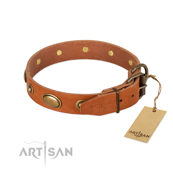 Reliable hardware on genuine leather dog collar for your dog