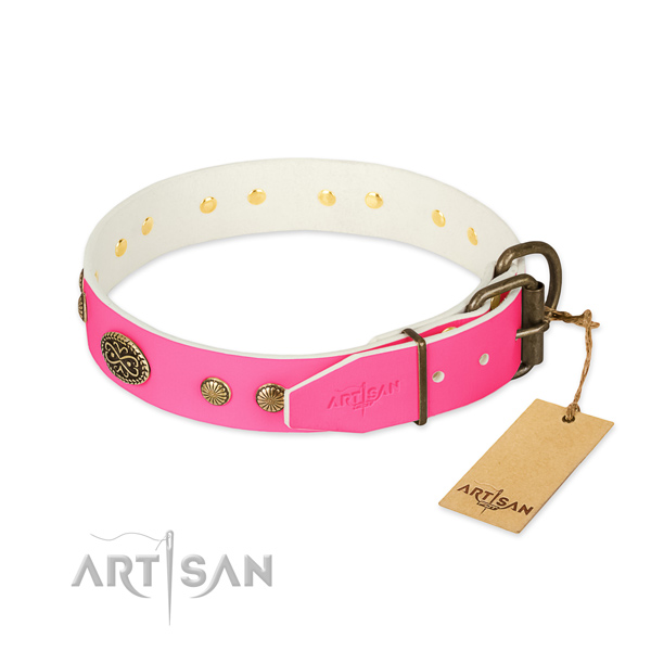 Durable traditional buckle on natural leather dog collar for your doggie
