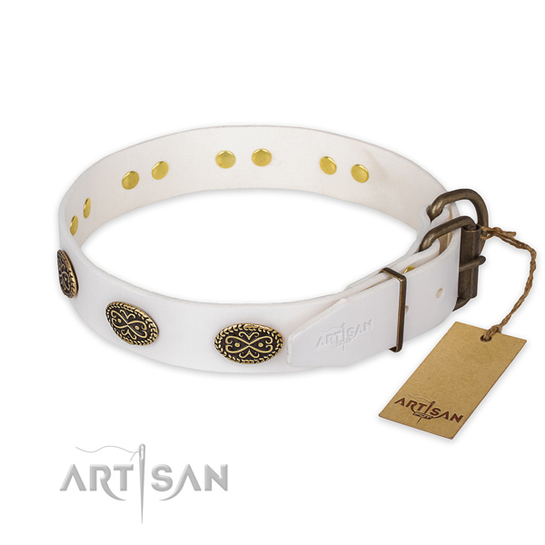 Rust-proof buckle on genuine leather collar for basic training your canine