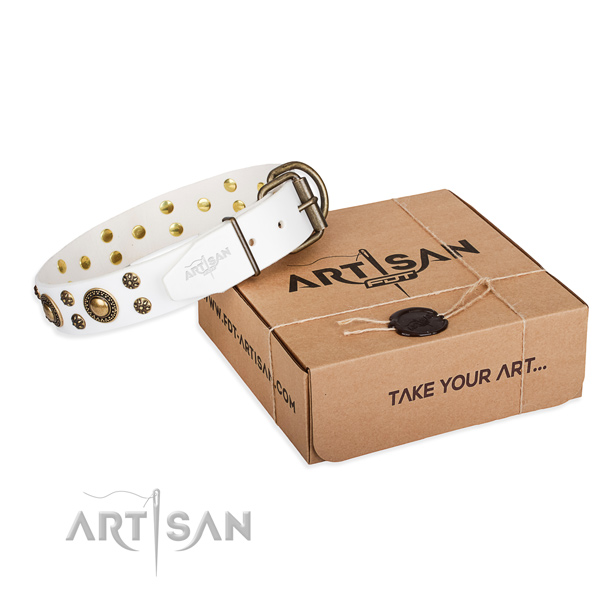 Easy wearing dog collar of finest quality leather with decorations