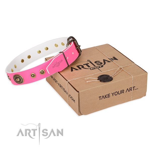 Full grain genuine leather dog collar made of best quality material with rust resistant hardware
