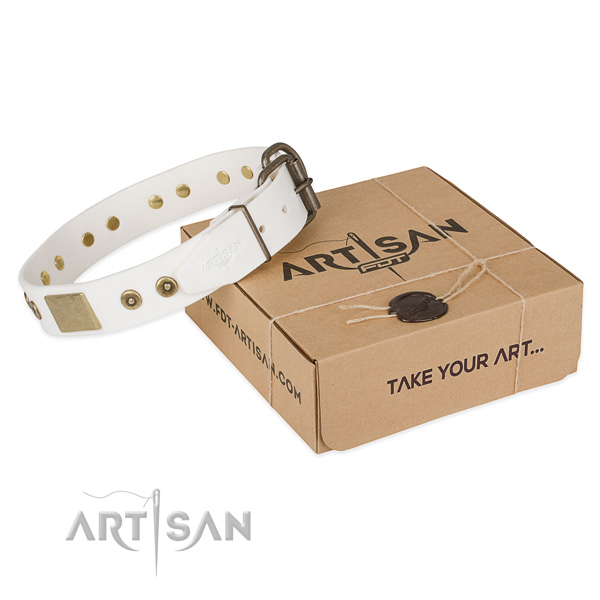 Corrosion proof buckle on leather dog collar for easy wearing