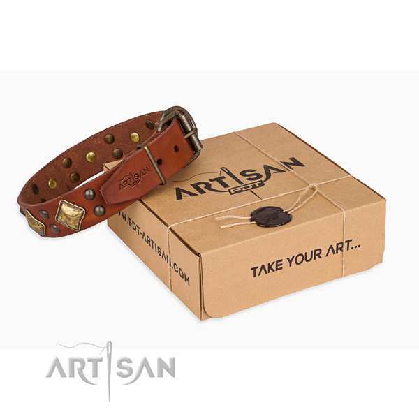 Handy use dog collar with Awesome corrosion resistant adornments