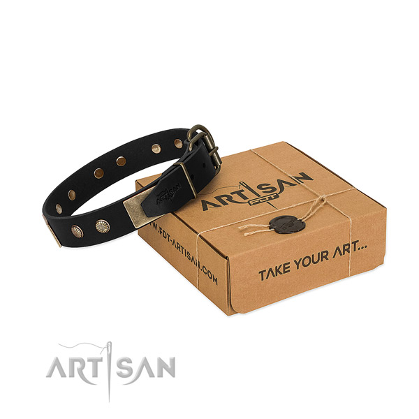 Rust-proof studs on dog collar for handy use