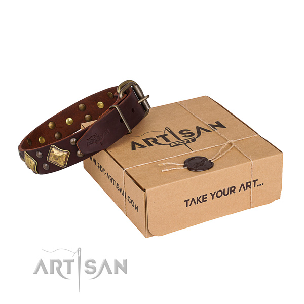Handy use dog collar with Extraordinary rust-proof embellishments