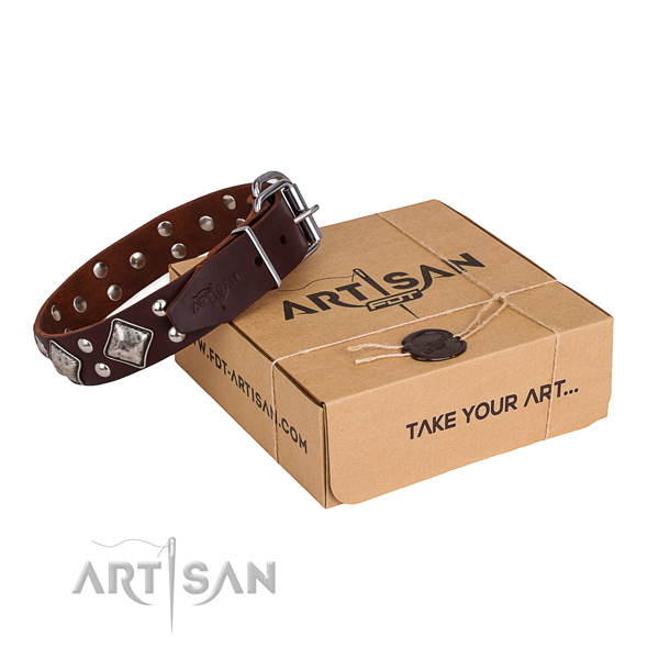 Everyday walking dog collar with Trendy corrosion resistant adornments