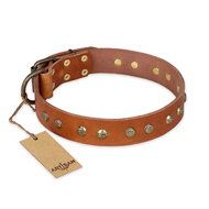 "Spring Flavor" FDT Artisan Adorned Leather Riesenschnauzer Collar with Old Bronze-Plated Engraved Studs