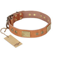 "The Middle Ages" FDT Artisan Handcrafted Tan Leather Riesenschnauzer Collar