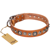 "Daily Chic" FDT Artisan Tan Leather Riesenschnauzer Collar with Decorations
