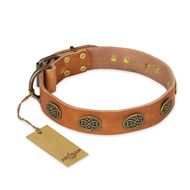 "Magic Amulet" FDT Artisan Tan Leather Riesenschnauzer Collar with Oval Studs