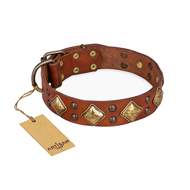 "Flight of Fancy" FDT Artisan Adorned Leather Riesenschnauzer Collar