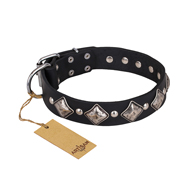 "Silver Charm" FDT Artisan Leather Riesenschnauzer Collar with Silvery-Plated Large Square Studs