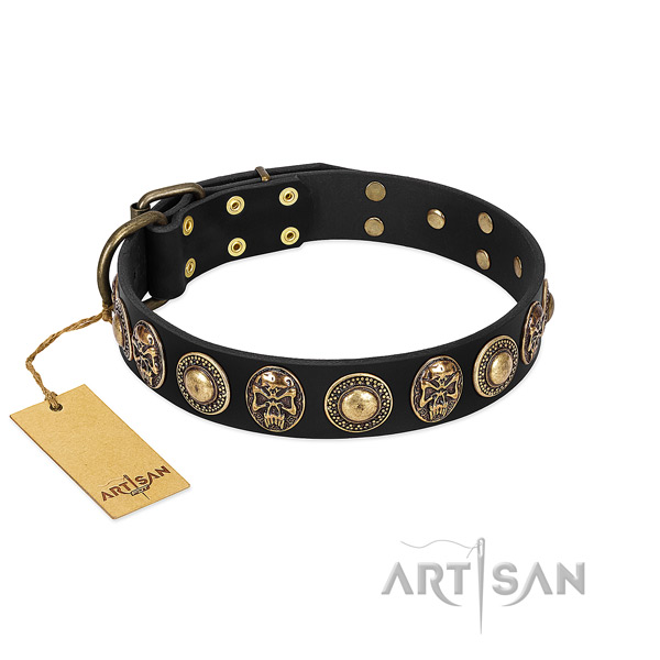 Easy to adjust leather dog collar for daily walking your pet