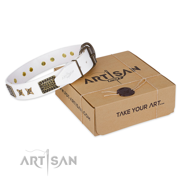 Reliable buckle on full grain natural leather collar for your stylish dog
