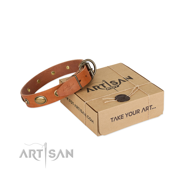 Exquisite full grain leather collar for your handsome dog