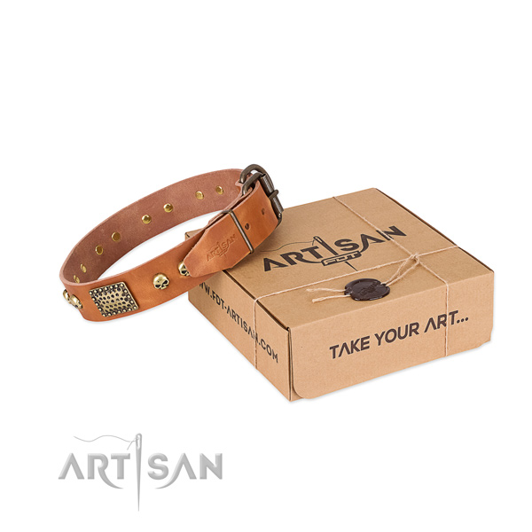 Corrosion proof D-ring on dog collar for everyday walking