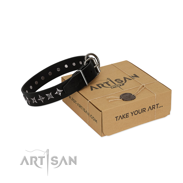 Daily walking dog collar of durable full grain genuine leather with embellishments