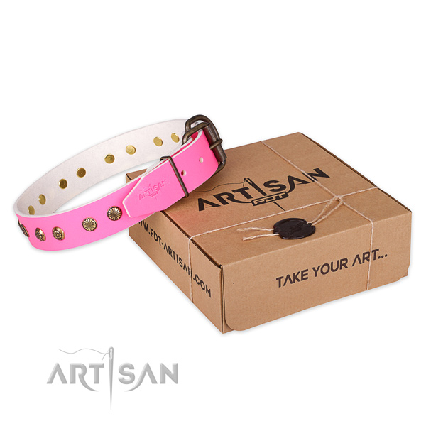 Rust resistant D-ring on full grain leather collar for your attractive pet