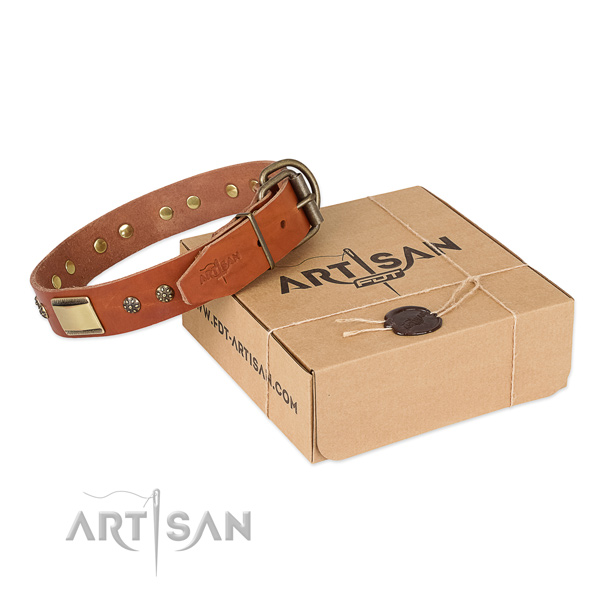 Stylish full grain natural leather collar for your beautiful four-legged friend