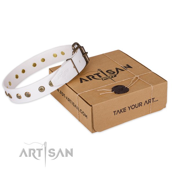 Corrosion proof traditional buckle on leather collar for your impressive dog