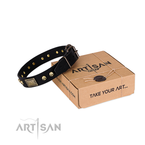 Rust-proof adornments on dog collar for comfy wearing