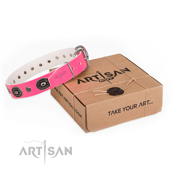 Quality full grain natural leather dog collar created for everyday use