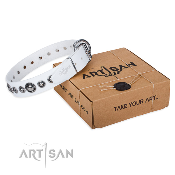 Natural genuine leather dog collar made of top notch material with rust resistant fittings