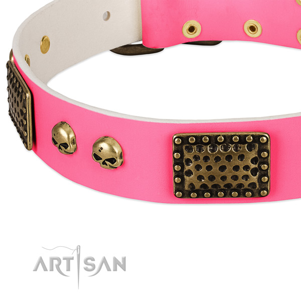 Reliable adornments on leather dog collar for your canine