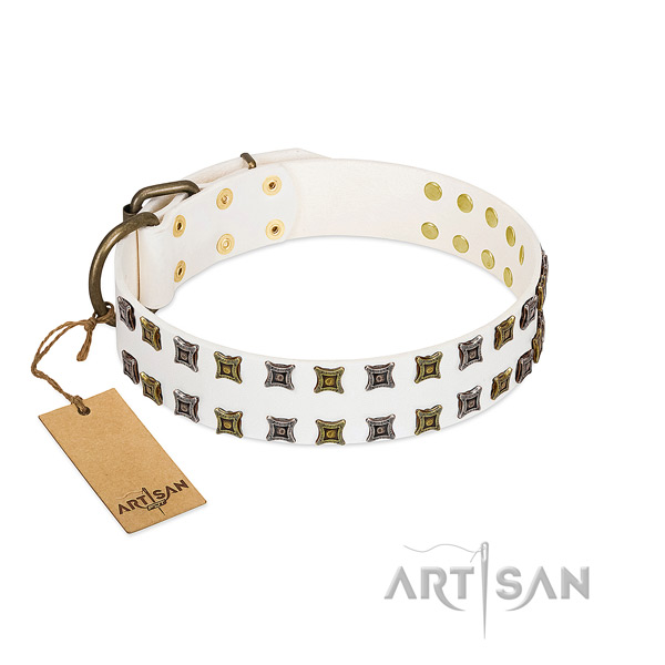 Full grain leather collar with designer studs for your four-legged friend