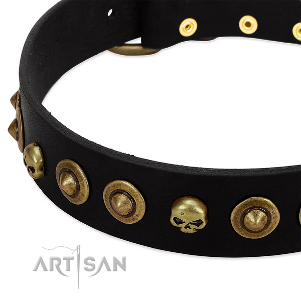 Leather dog collar with exquisite studs