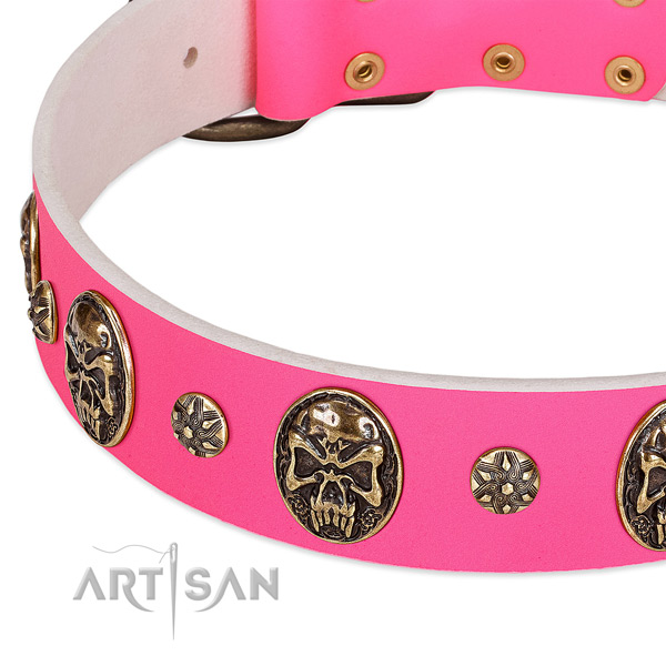Designer dog collar handmade for your lovely four-legged friend
