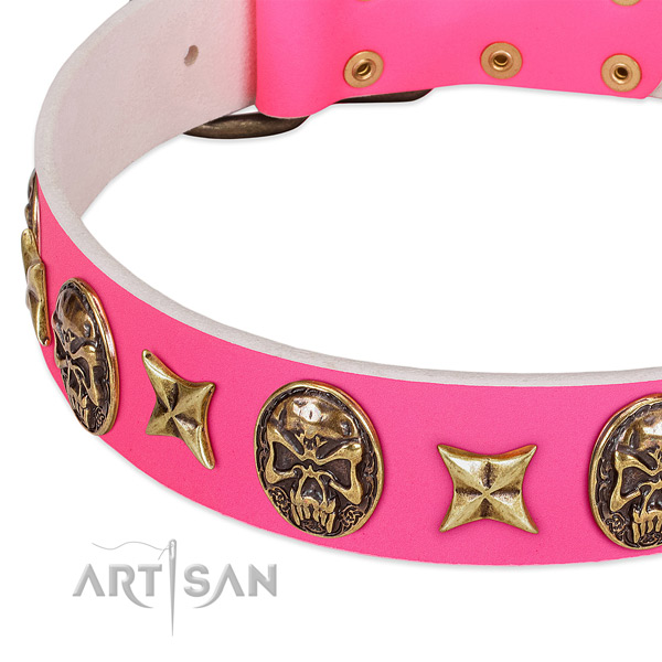 Full grain leather dog collar with unusual decorations