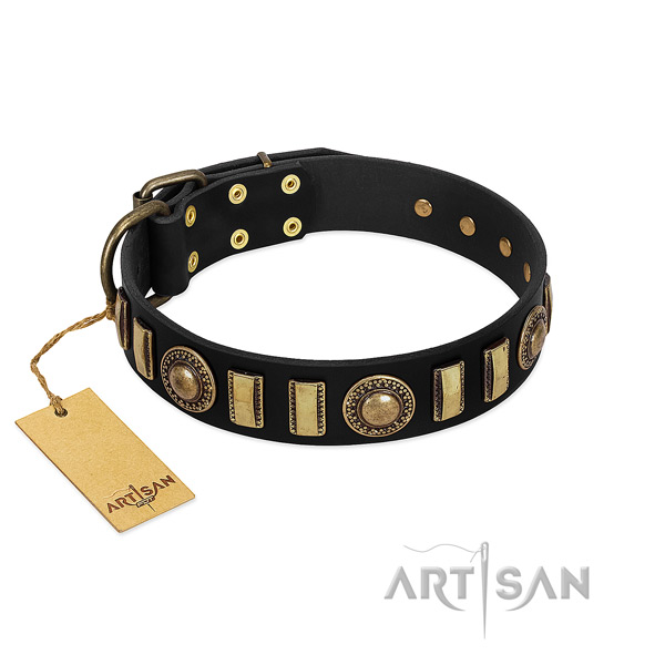 Quality leather dog collar with rust resistant fittings