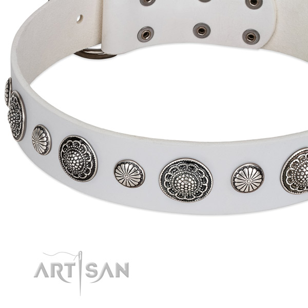 Full grain leather collar with strong fittings for your handsome pet