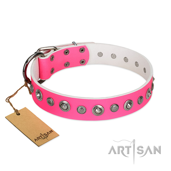 Quality full grain leather dog collar with stunning adornments